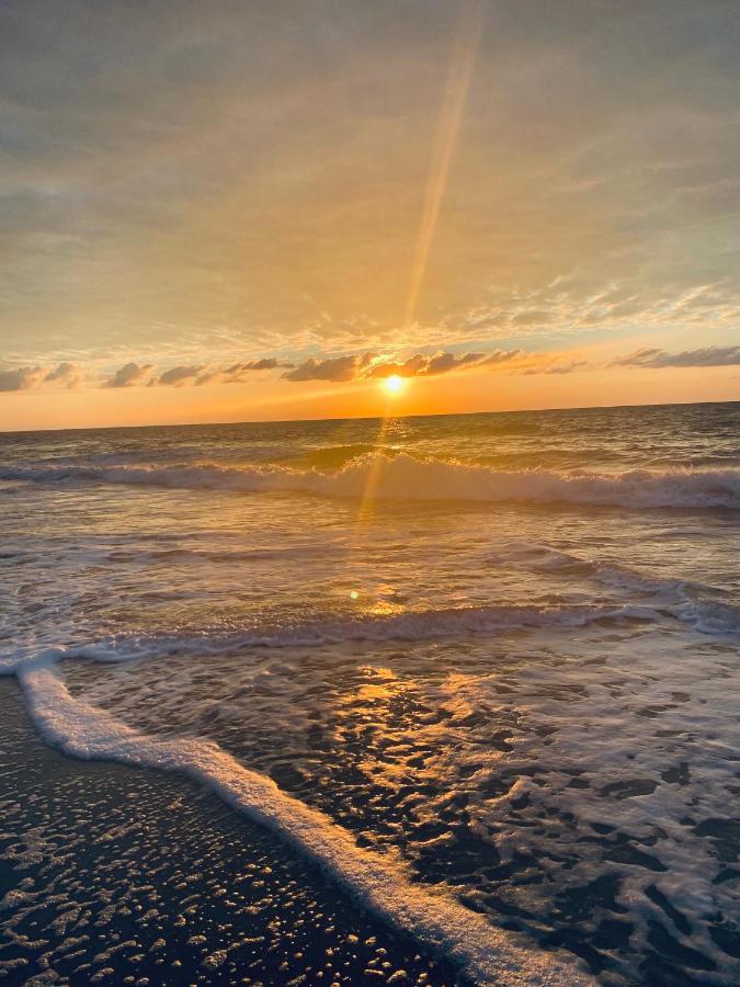 1726 Ocean View Galore Pets Are Welcome Myrtle Beach Bagian luar foto